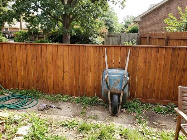 After: the same fence cleaned, brightened and stained a warm cedar tone