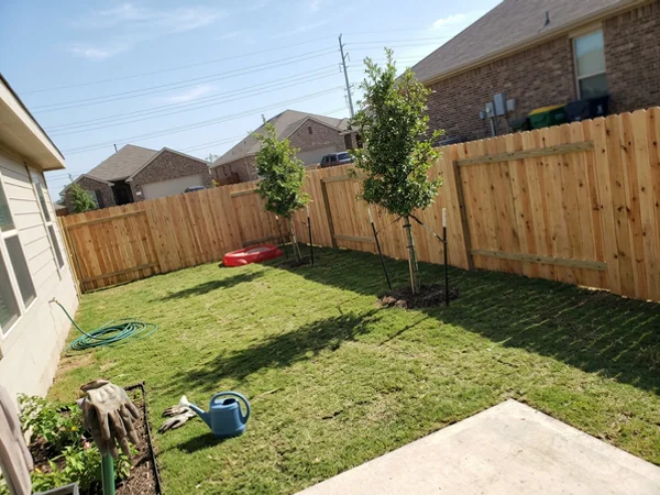 New pressure-treated pine fence in a newer subdivision